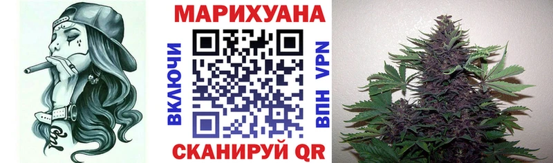 Где продают наркотики Андреаполь Метадон  ГАШ  Псилоцибиновые грибы  Марихуана  Alpha PVP 