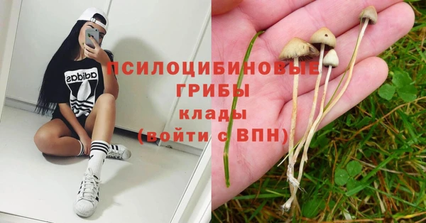 mdpv Алзамай