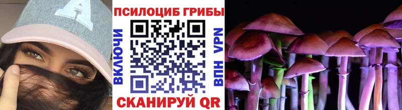купить   Андреаполь  Псилоцибиновые грибы мицелий 